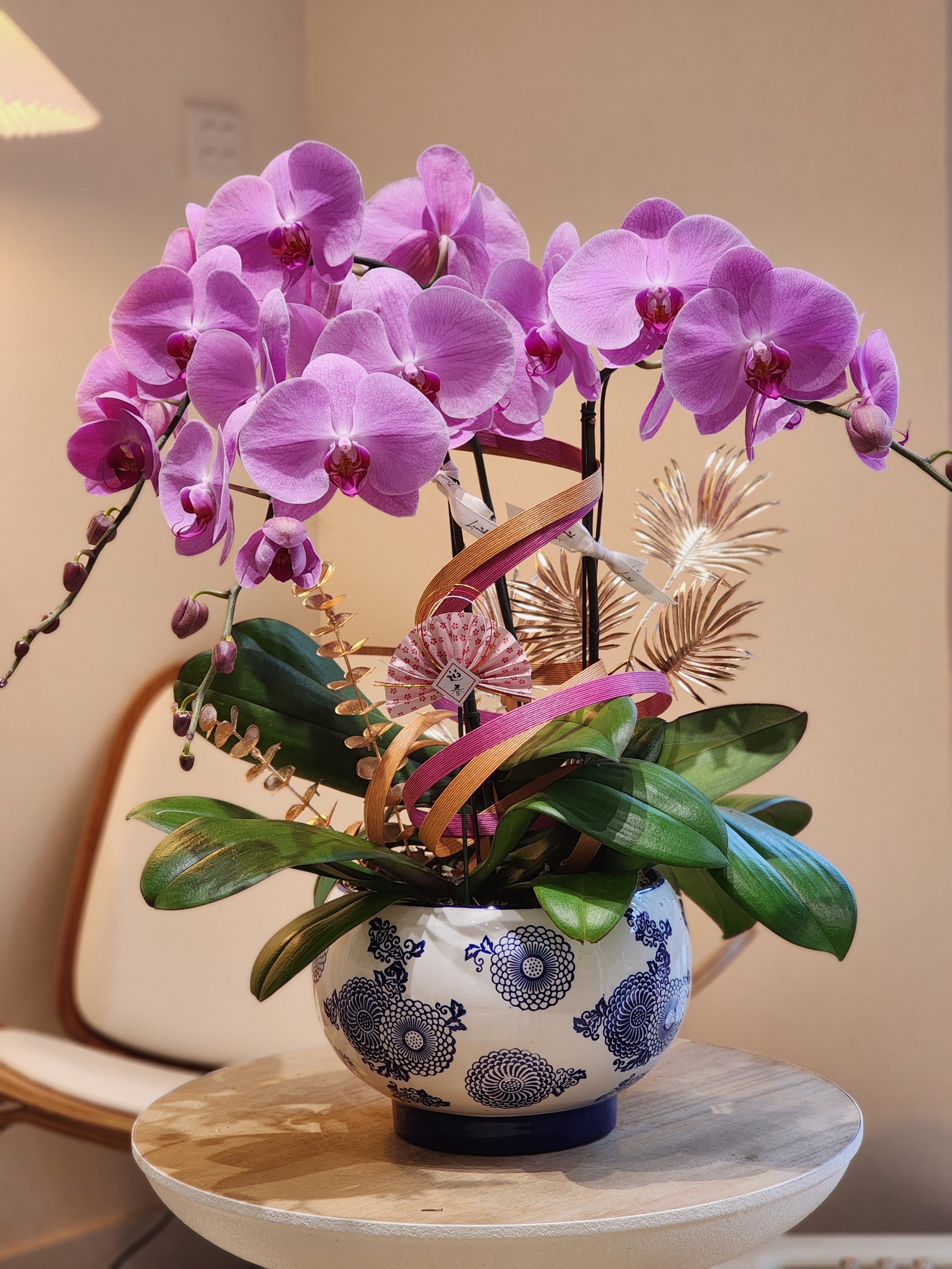 蝴蝶蘭 香港花店 台灣 日本 Lavish Florist 即日送花
