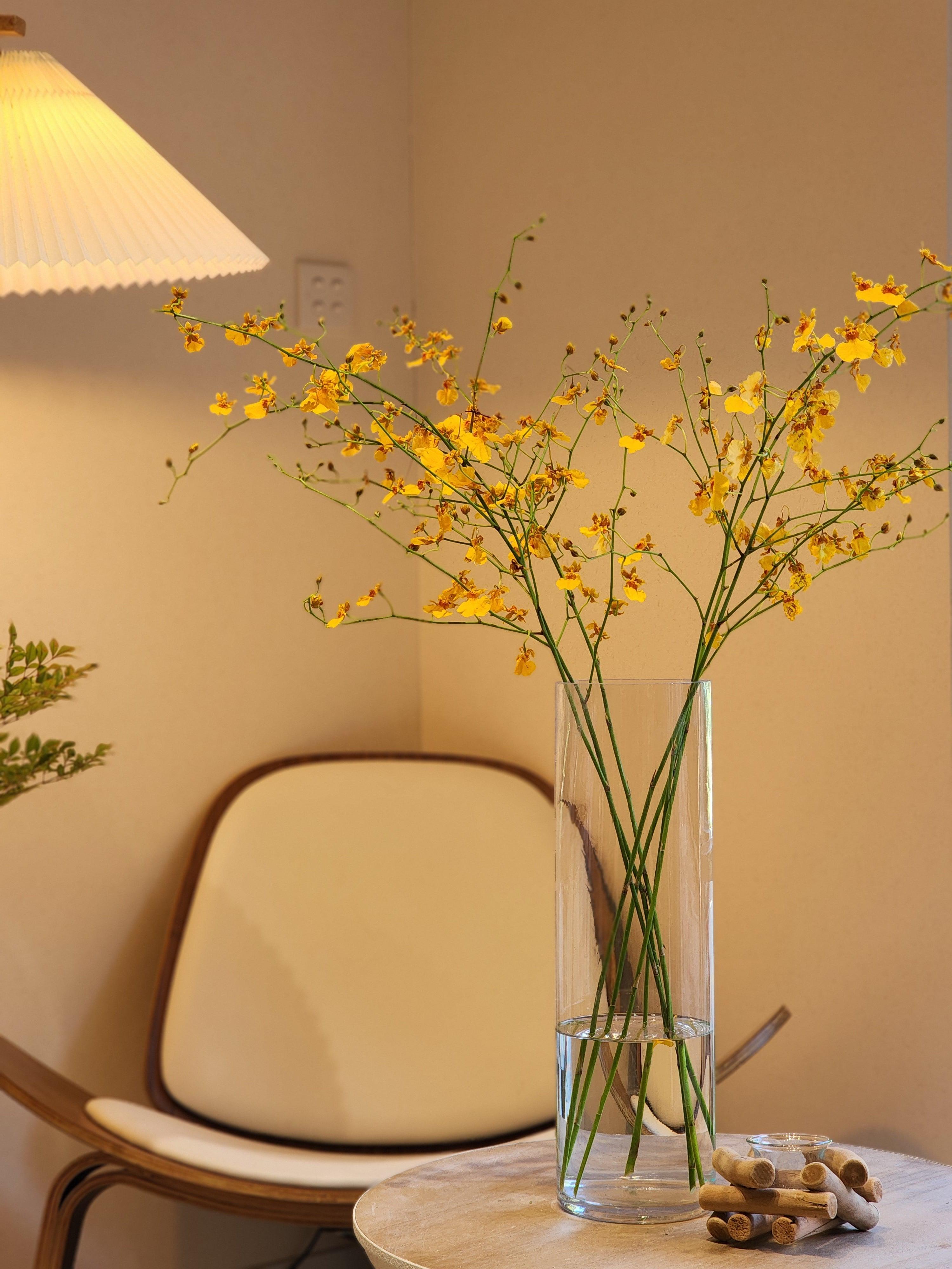 【2024年如何催旺桃花位及財位 鮮花綠植如何擺放?】 - Lavish Florist