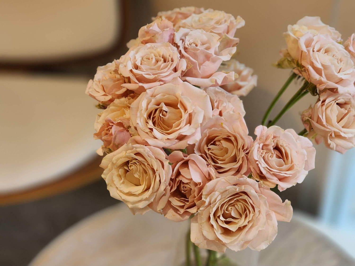 【重陽節送花禁忌】 - Lavish Florist