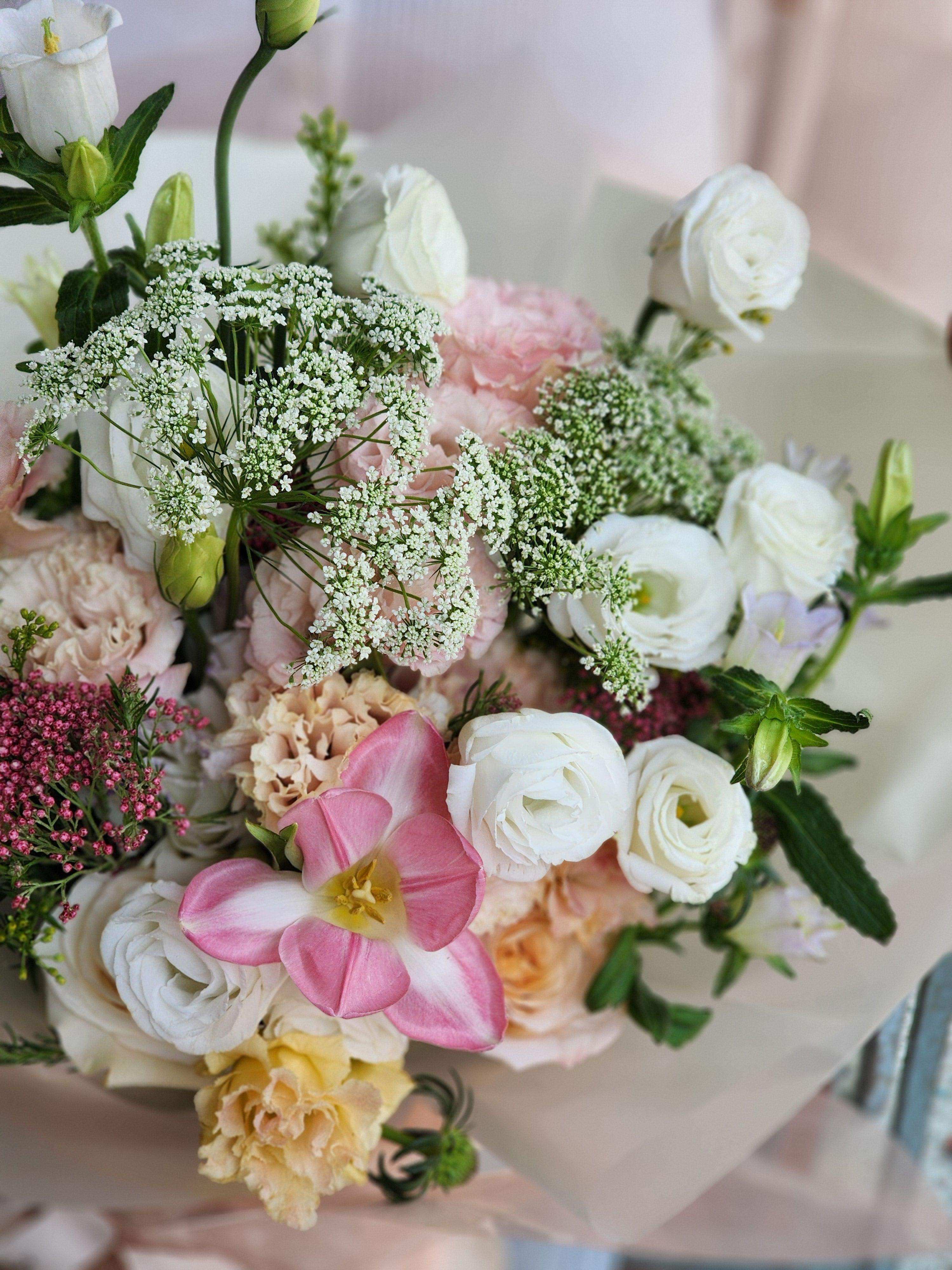 即日送花 香港花店 康乃馨 網上花店 Lavish Florist 全港送花 情人節