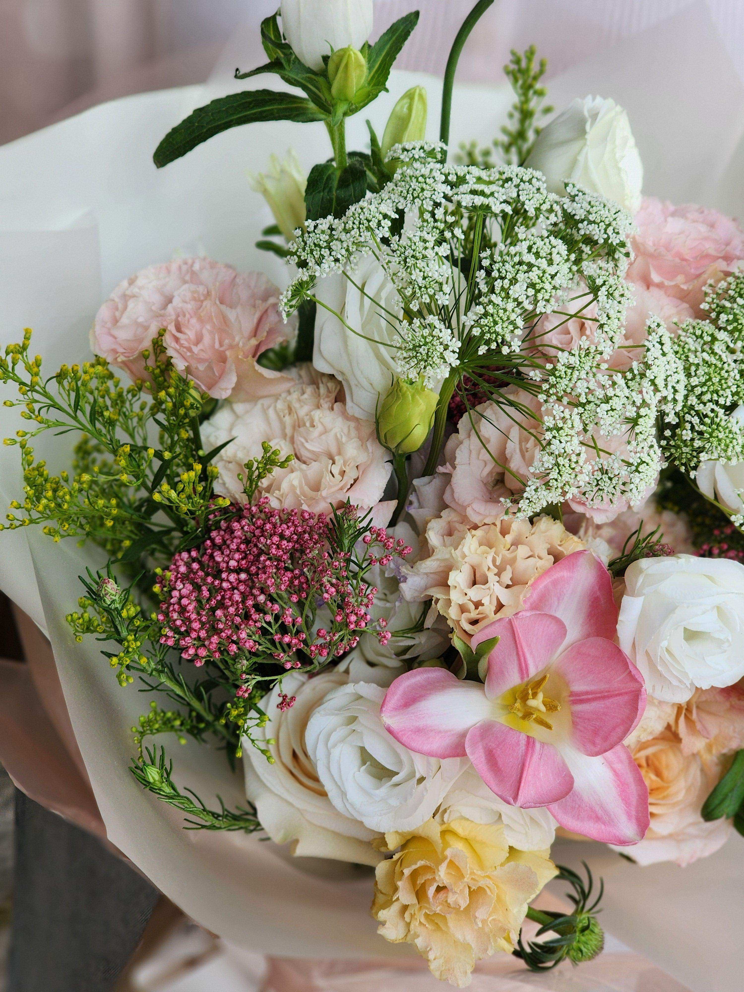 即日送花 香港花店 康乃馨 網上花店 Lavish Florist 全港送花 情人節