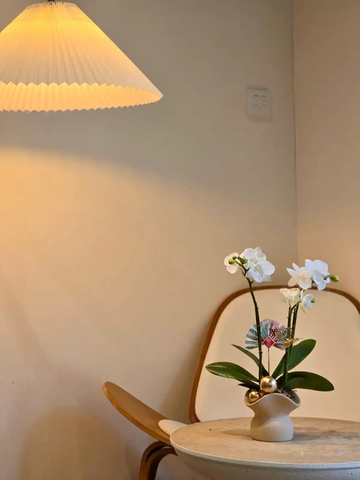 Two Stems Orchid - Snow-white (Classic Size)