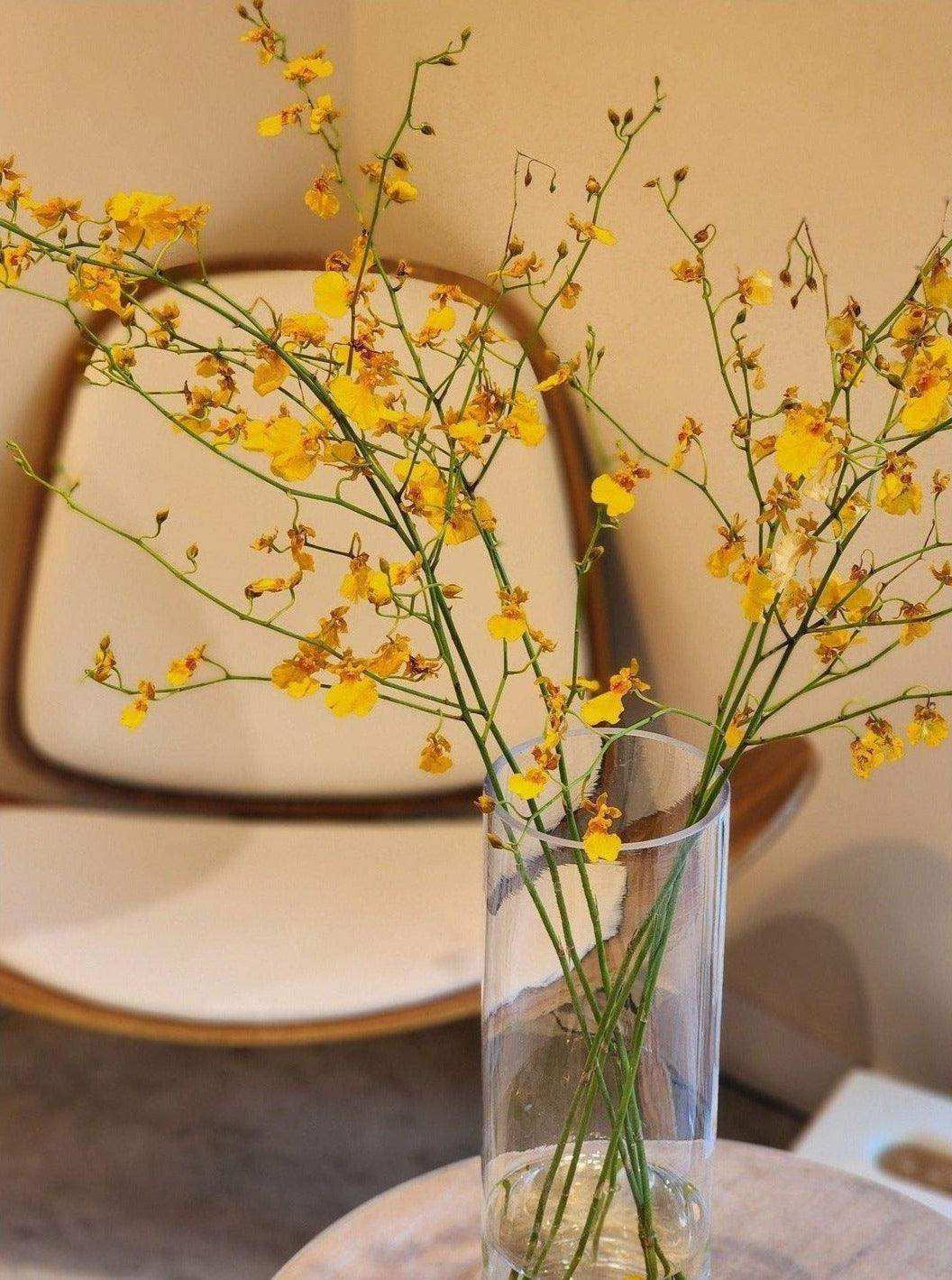 Oncidium 賀年植物 新年擺設 農曆新年 Lavish Florist 花店