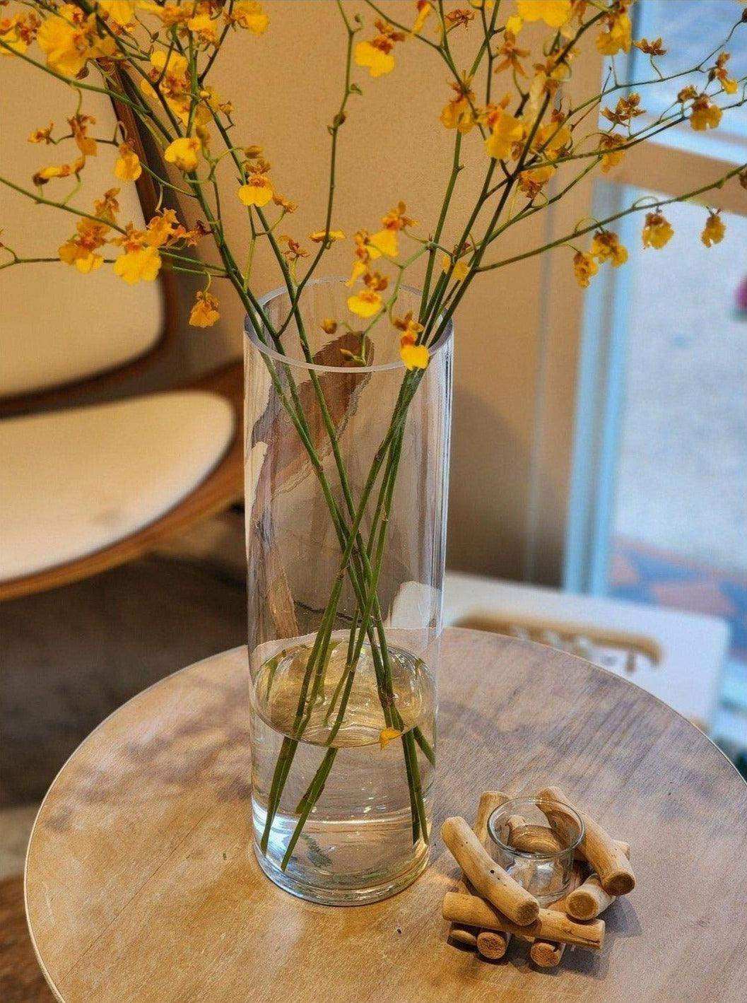 Oncidium 跳舞蘭 (文心蘭) 賀年植物 新年擺設 農曆新年 Lavish Florist 花店