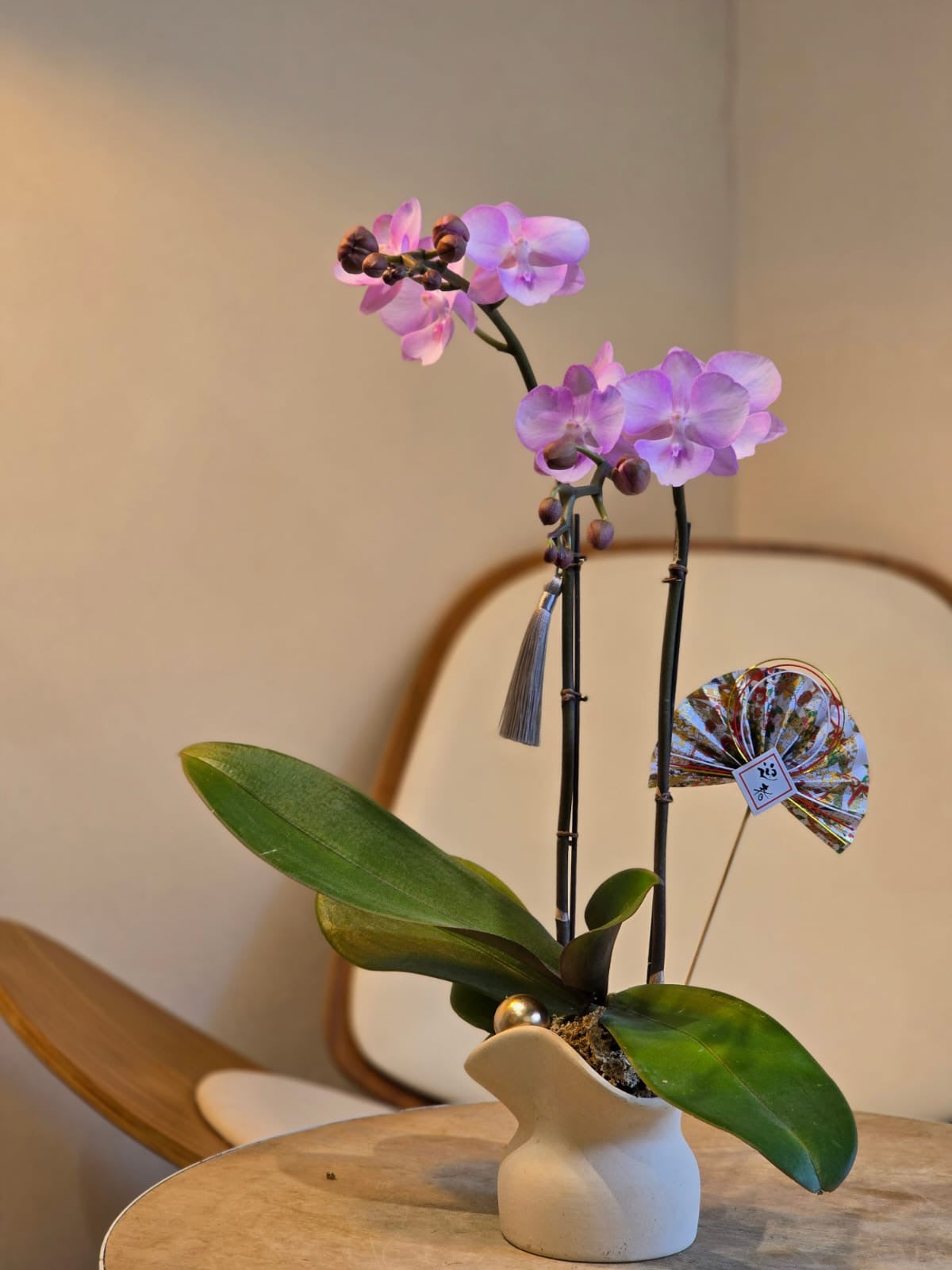 Two Stems Orchid - Soft Pink (Classic Size)