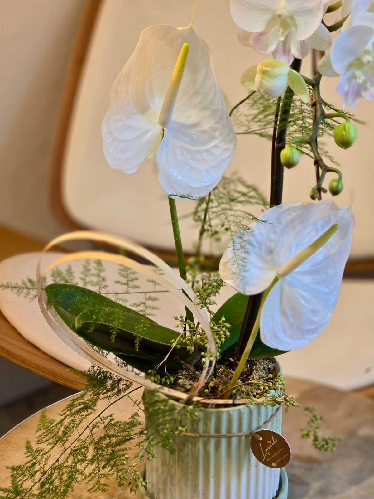 Off-white Orchid Centrepiece (Classic Size)