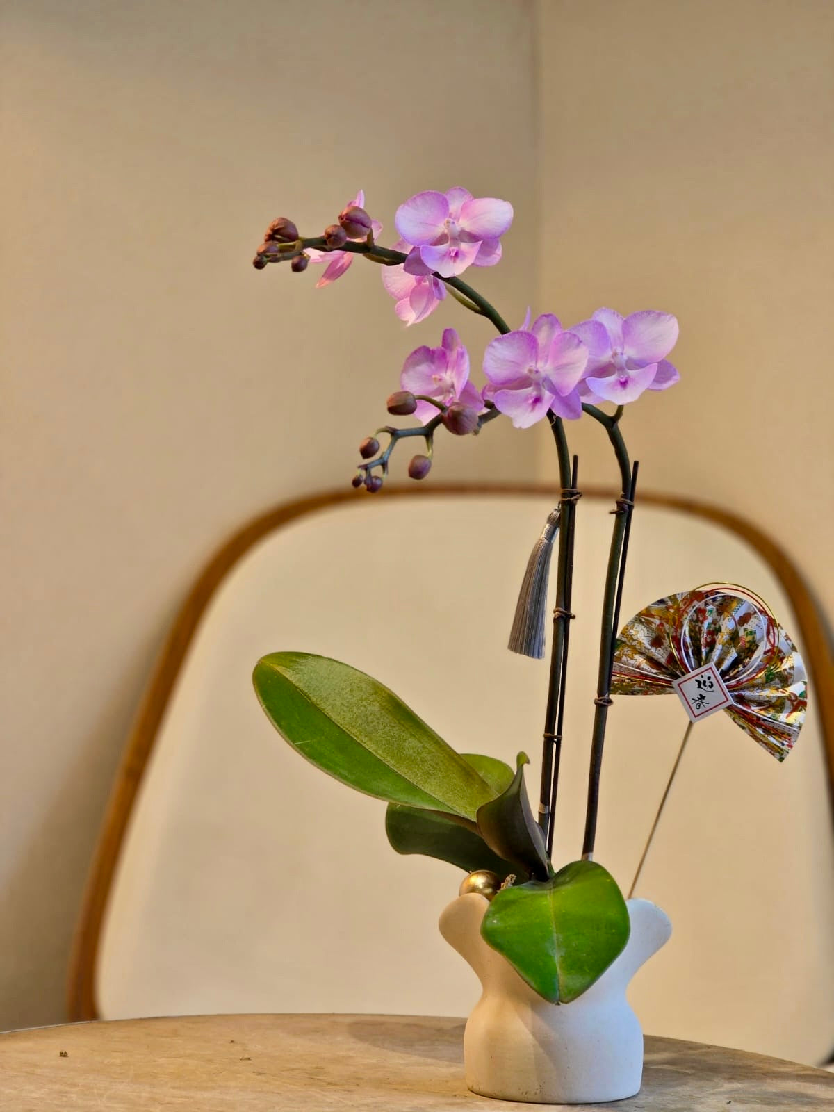 Two Stems Orchid - Soft Pink (Classic Size)