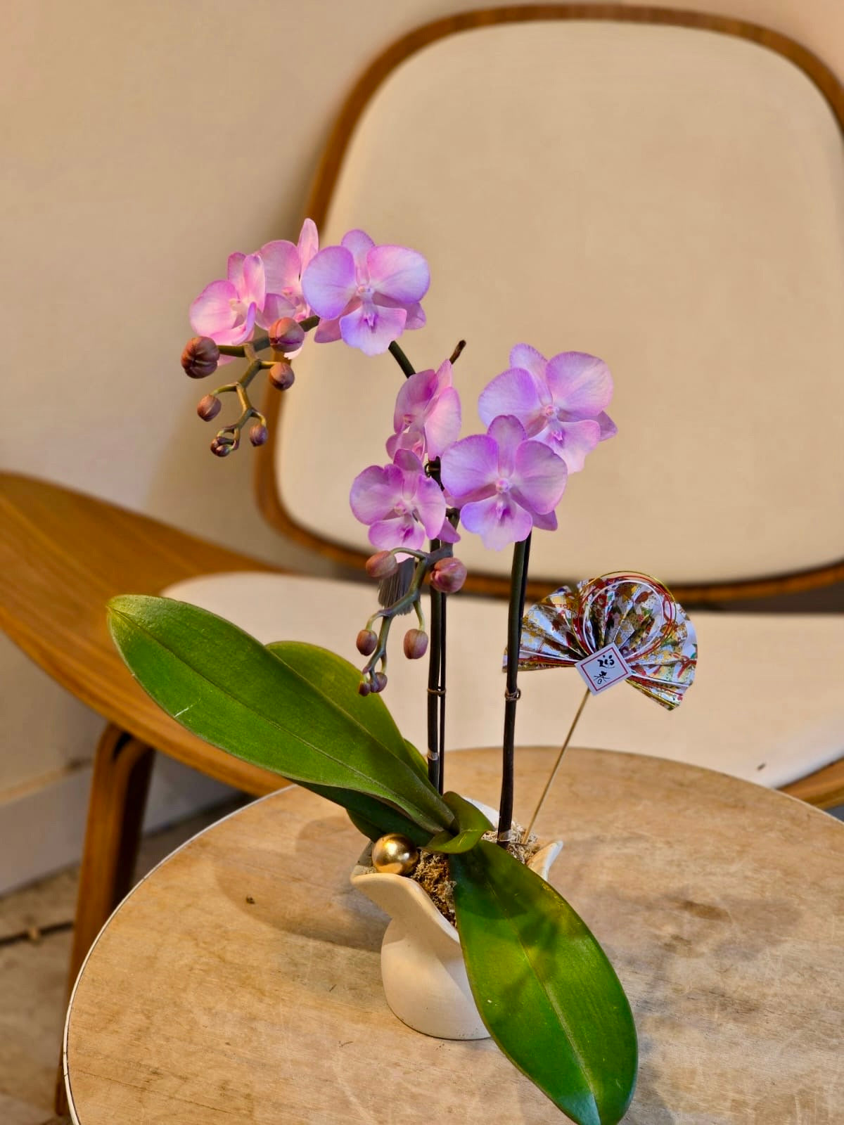 Two Stems Orchid - Soft Pink (Classic Size)