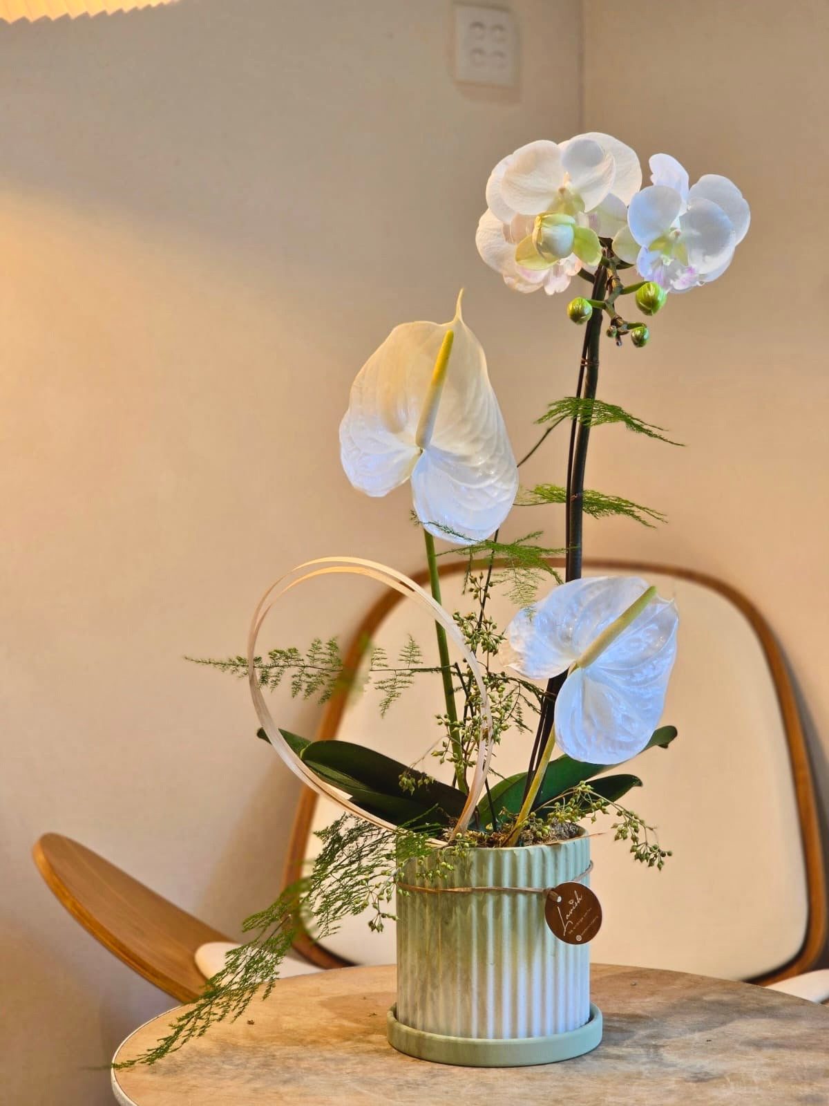 Off-white Orchid Centrepiece (Classic Size)
