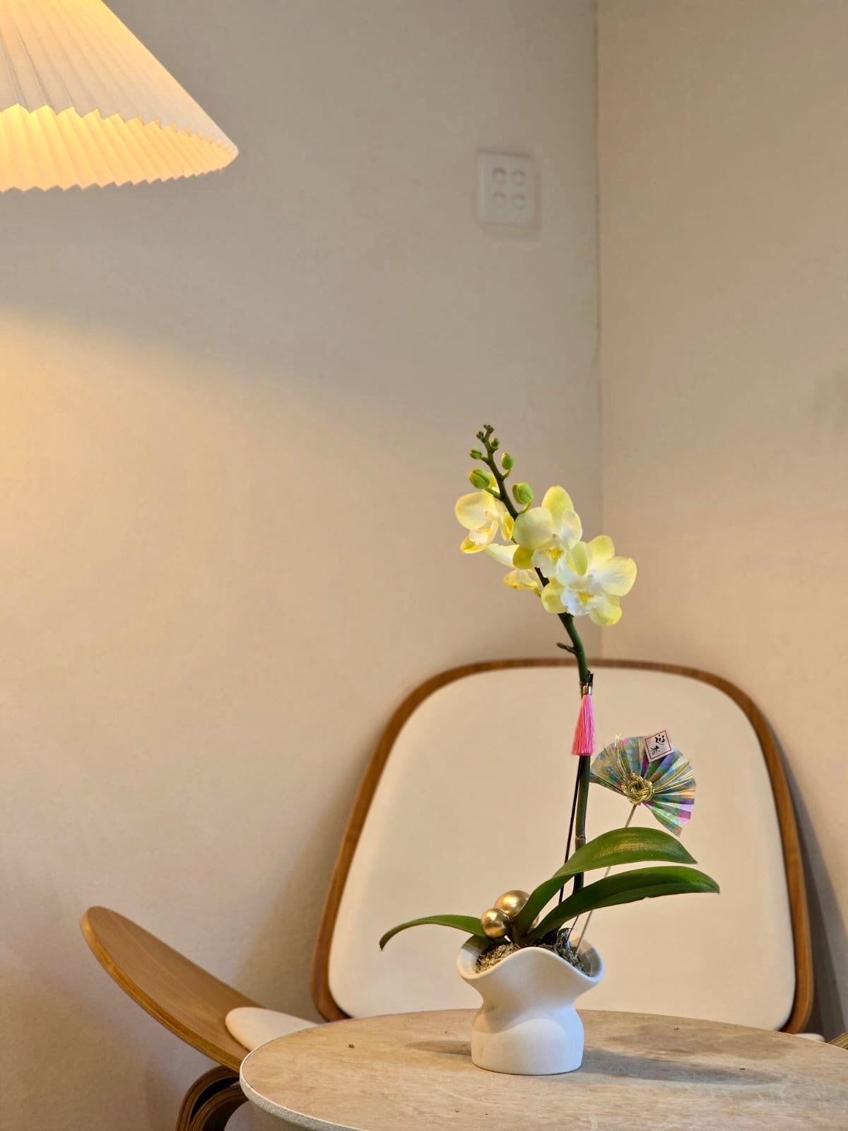 Single Orchid - Yellow (Classic Size)