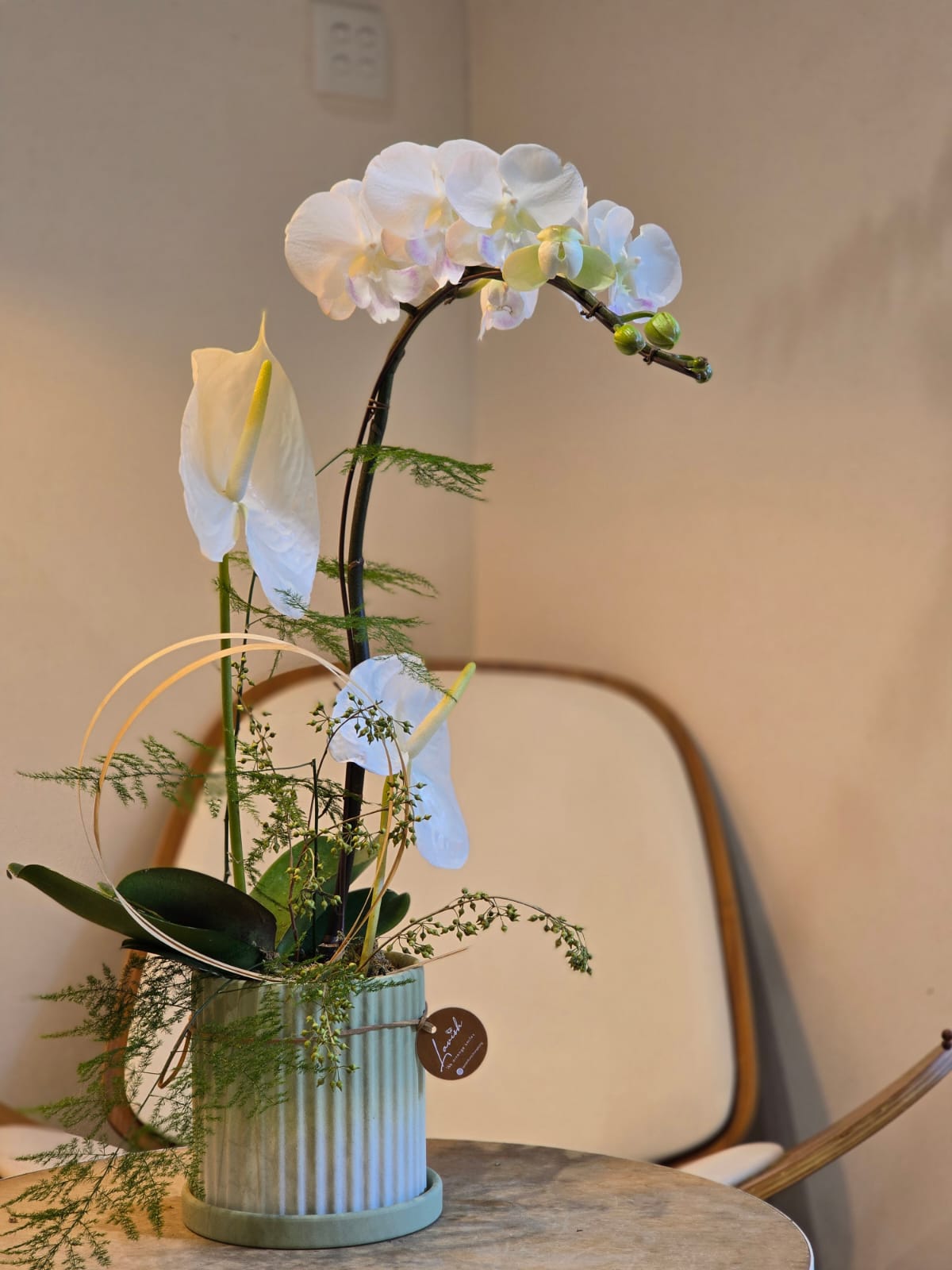 Off-white Orchid Centrepiece (Classic Size)