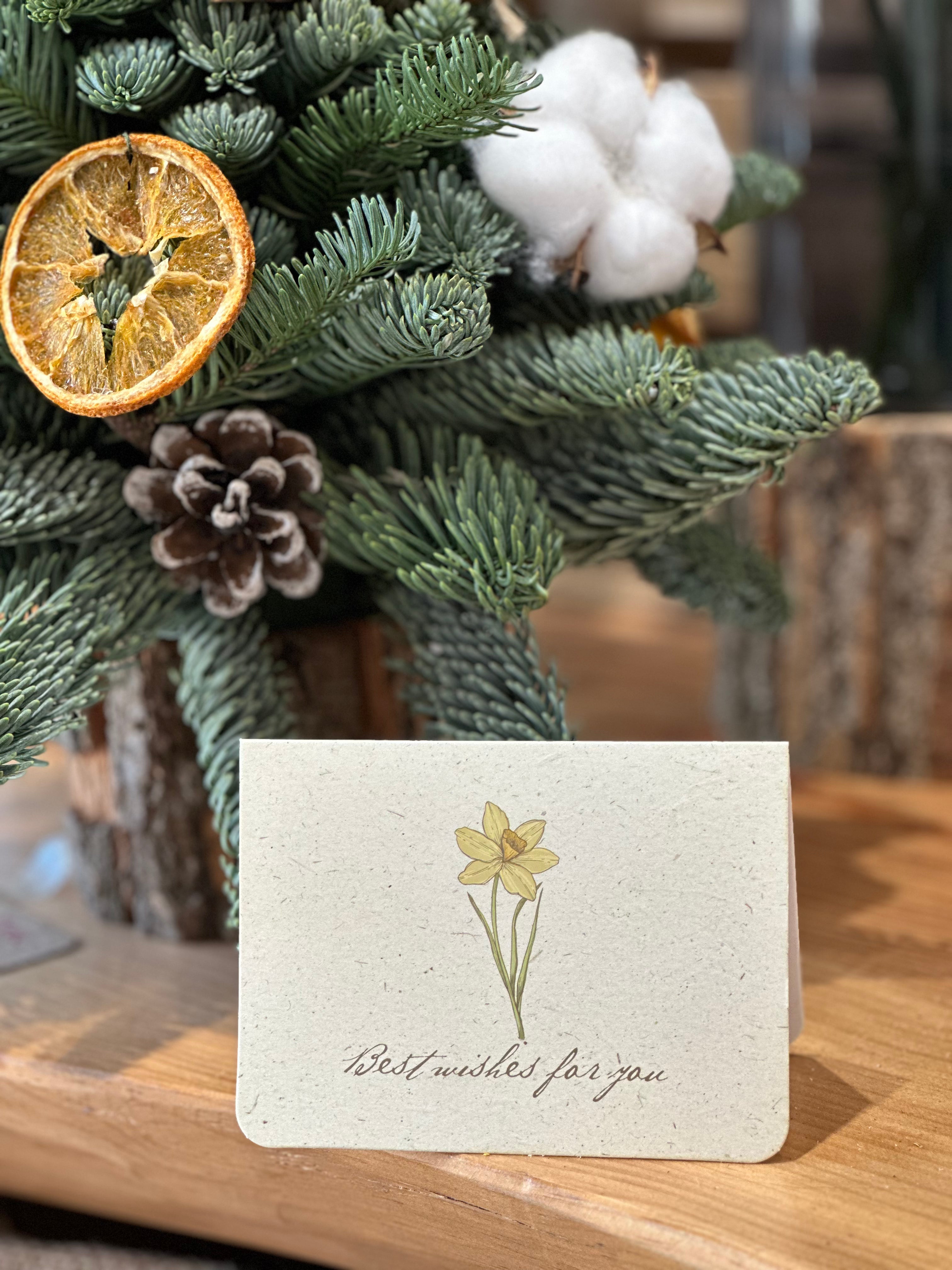 Mini Greeting Card - Lavish Florist