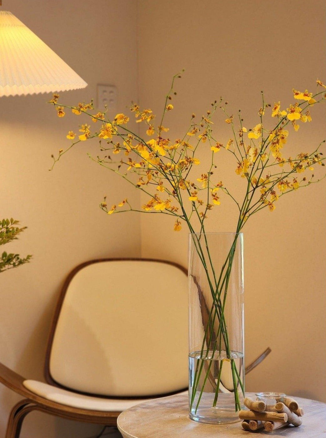 Oncidium 賀年植物 新年擺設 農曆新年 Lavish Florist 花店